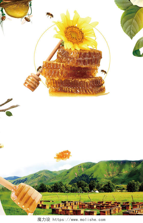 天然蜂蜜保健品美容养颜促销海报背景模板